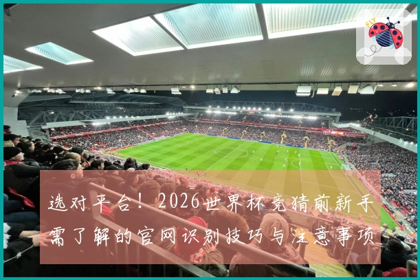 选对平台！2026世界杯竞猜前新手需了解的官网识别技巧与注意事项
