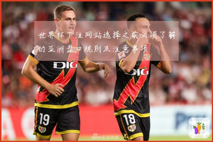 世界杯下注网站选择之前必须了解的亚洲盘口规则及注意事项