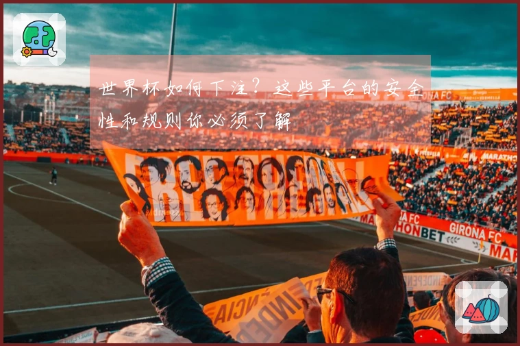 世界杯如何下注？这些平台的安全性和规则你必须了解