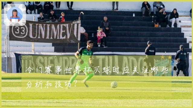 冷门赛事世界杯买球时应关注哪些分析和技巧？