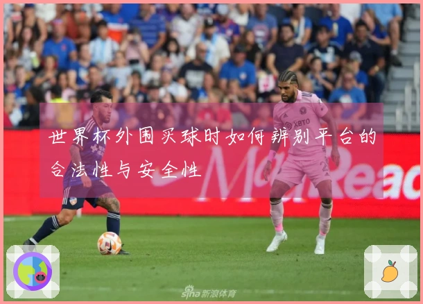 世界杯外围买球时如何辨别平台的合法性与安全性